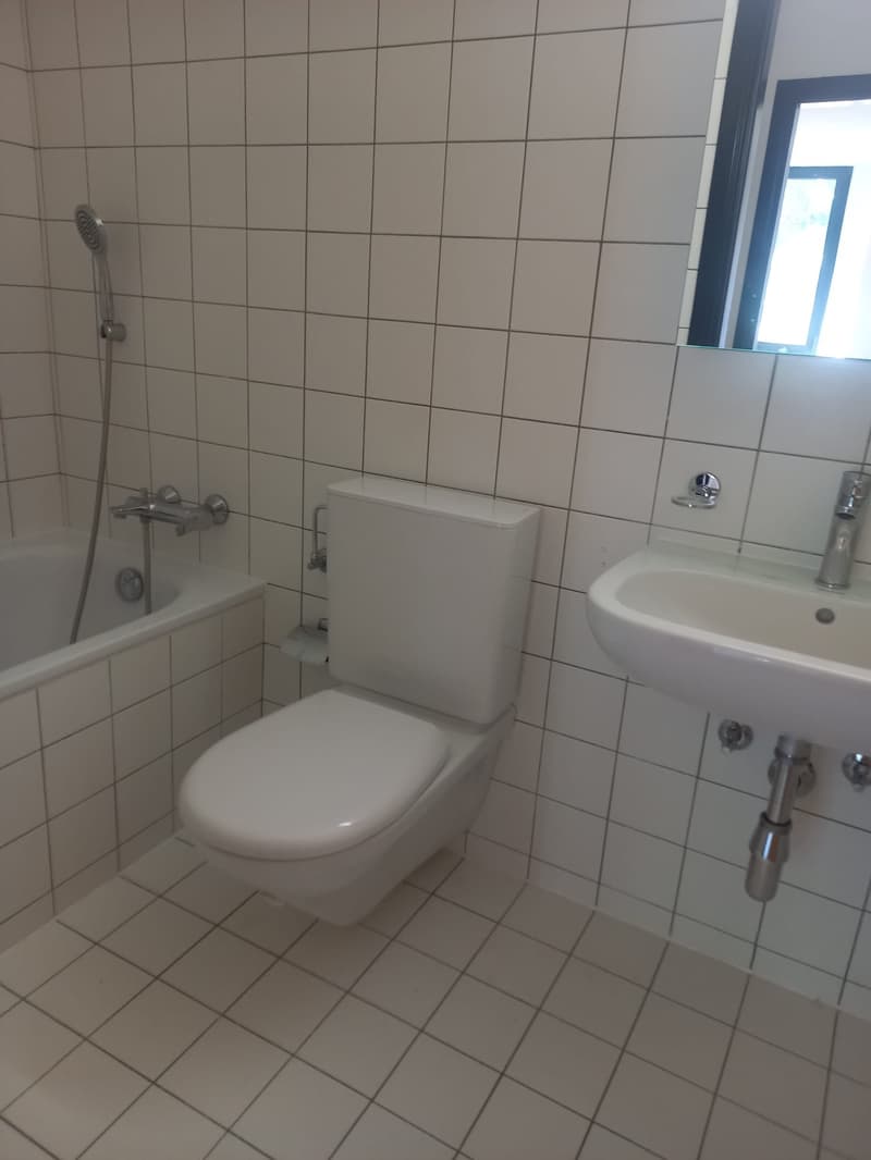 Affittasi 3.5 locali a Mendrisio (13)