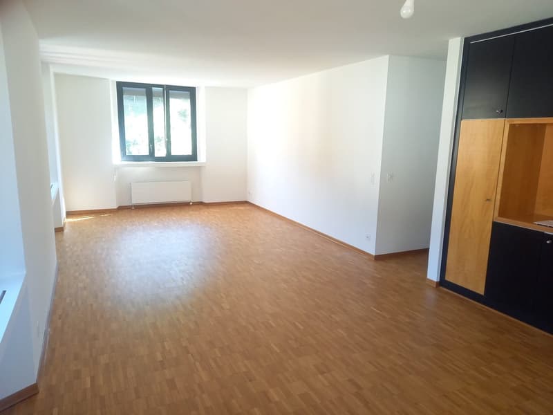 Affittasi 3.5 locali a Mendrisio (1)