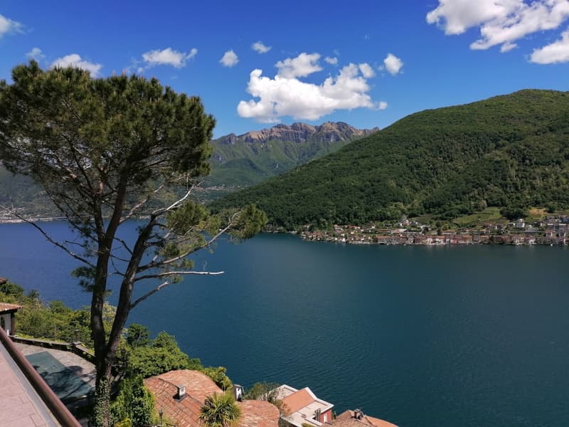 AFFITTASI 4.5 - VISTA LAGO - VICO MORCOTE (1)