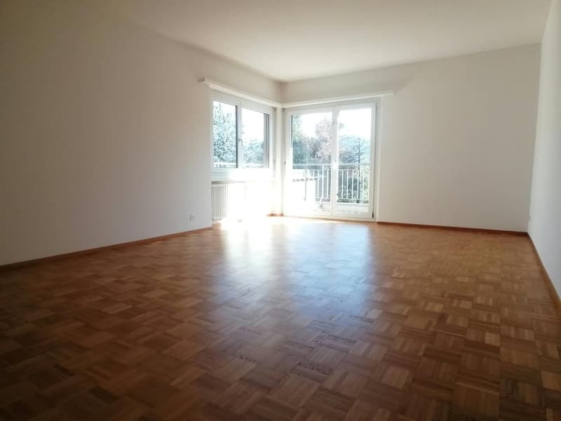 AFFITTASI APPARTAMENTO DI 4 LOCALI - BALERNA (3)