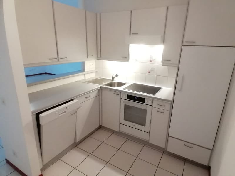 AFFITTASI APPARTAMENTO 2.5 LOCALI A MENDRISIO (4)