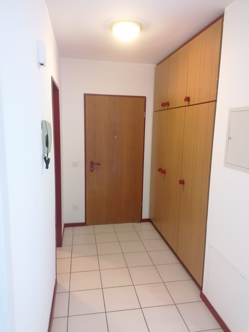 AFFITTASI APPARTAMENTO 2.5 LOCALI A MENDRISIO (2)