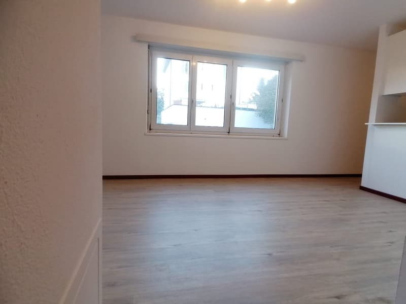 AFFITTASI APPARTAMENTO  2.5 LOCALI A MENDRISIO (3)