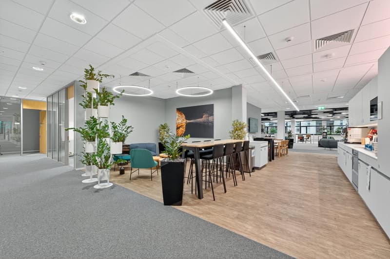 modern interior, white and gray color scheme, long wooden table with black chairs, gray carpeted floor, gray tile flooring, gray ceiling with lights, large windows, potted plants, kitchen area