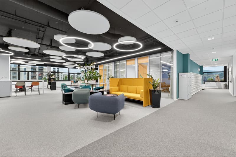 Office space with carpeted floor, glass walls, large windows, circular ceiling lights, yellow sofa, green armchairs, white cupboard, potted plants