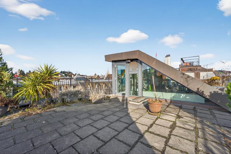 modern house, glass walls, roof terrace, brick floor, plants, fence