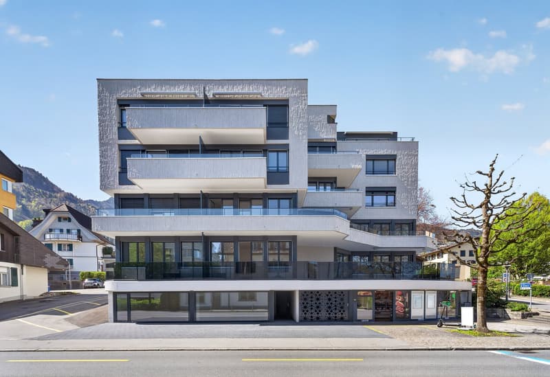 Moderne 1.5-Zimmer-Wohnung mit Balkon in Hergiswil (1)