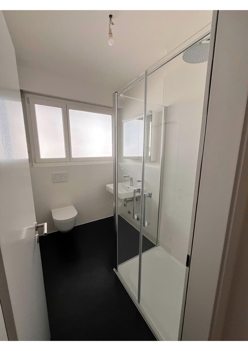 modern bathroom with white walls, black floor, glass shower, white sink, white toilet, white mirror, windows