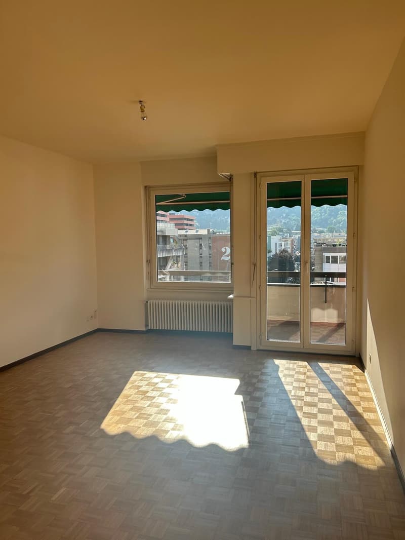 Luminoso appartamento di 2.5 locali a Lugano (1)