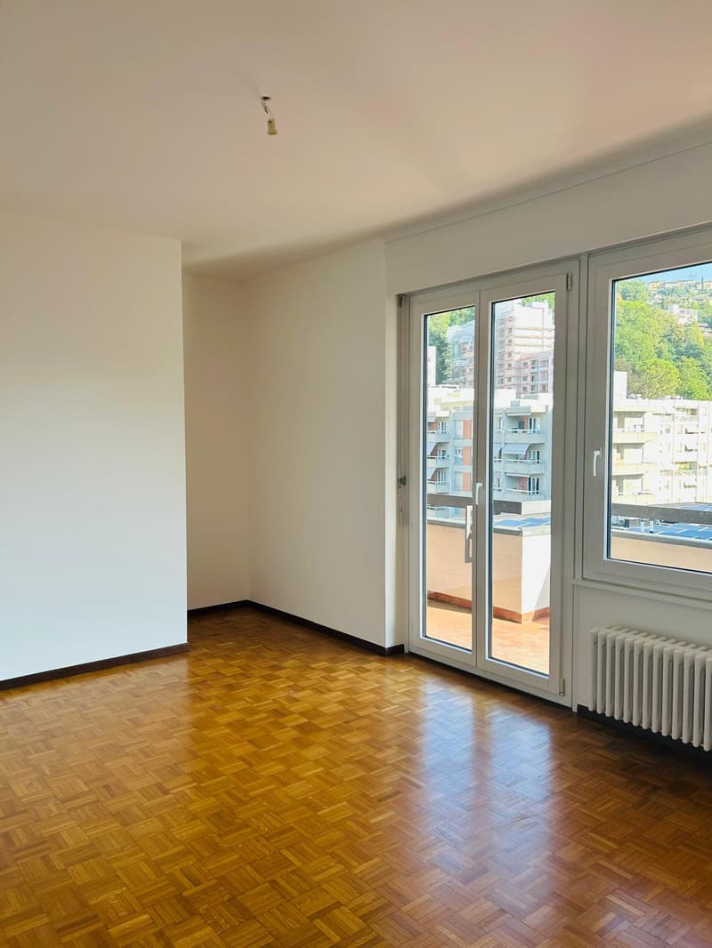 Luminoso appartamento di 2.5 locali a Lugano (6)