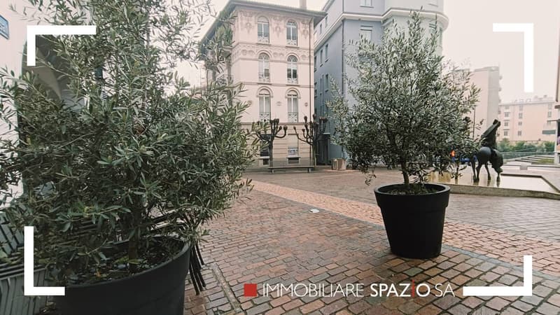 Brick paved walkway, two potted olive trees, bronze statue, building in the background
