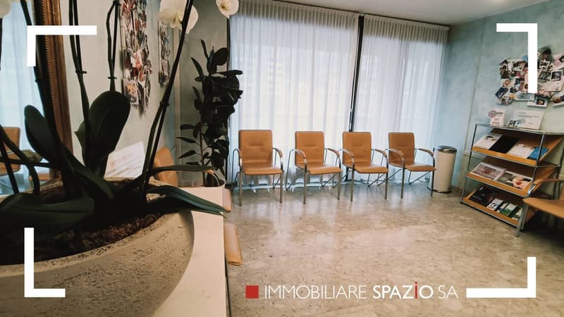 The image shows an office space with several chairs arranged in a row, a large plant in a pot, and various decorations and items on the shelves. The room has large windows and a concrete floor.