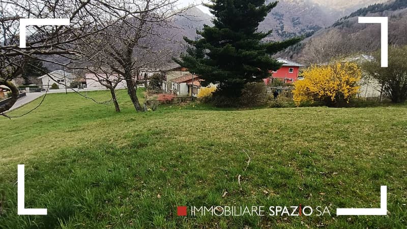 flat green field, some trees and bushes, buildings and mountains in the background