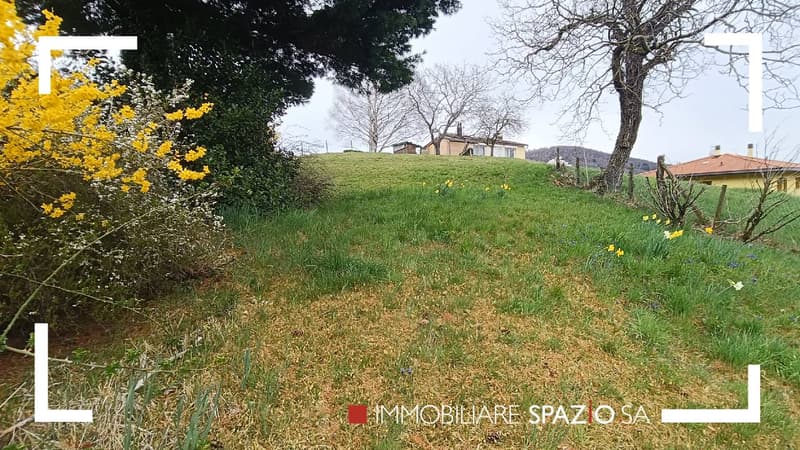 Open grass area, some bushes, trees with yellow flowers, some with brown leaves, hill, buildings in the background.