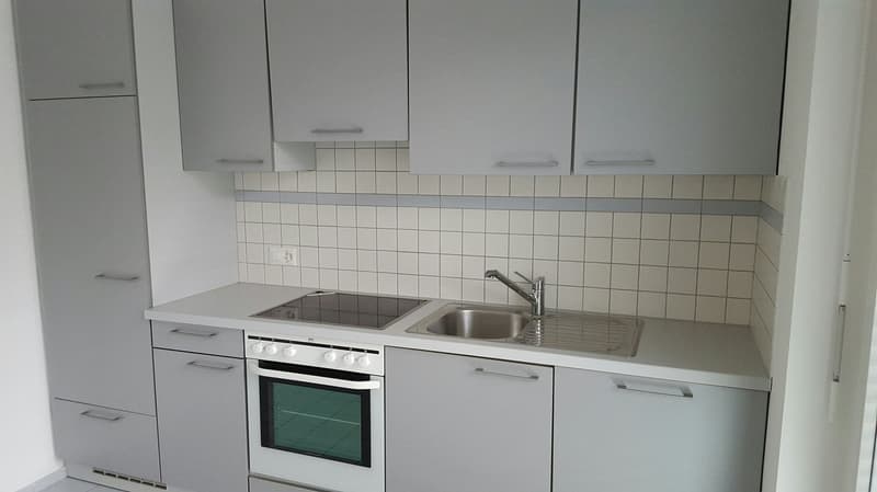 LUMINOSO APPARTAMENTO DI 3.5 LOCALI VISTA LAGO! (6)