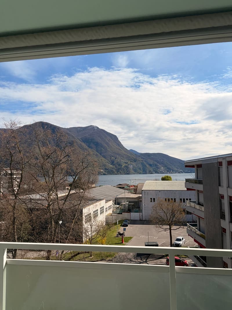 LUMINOSO APPARTAMENTO DI 3.5 LOCALI VISTA LAGO! (2)