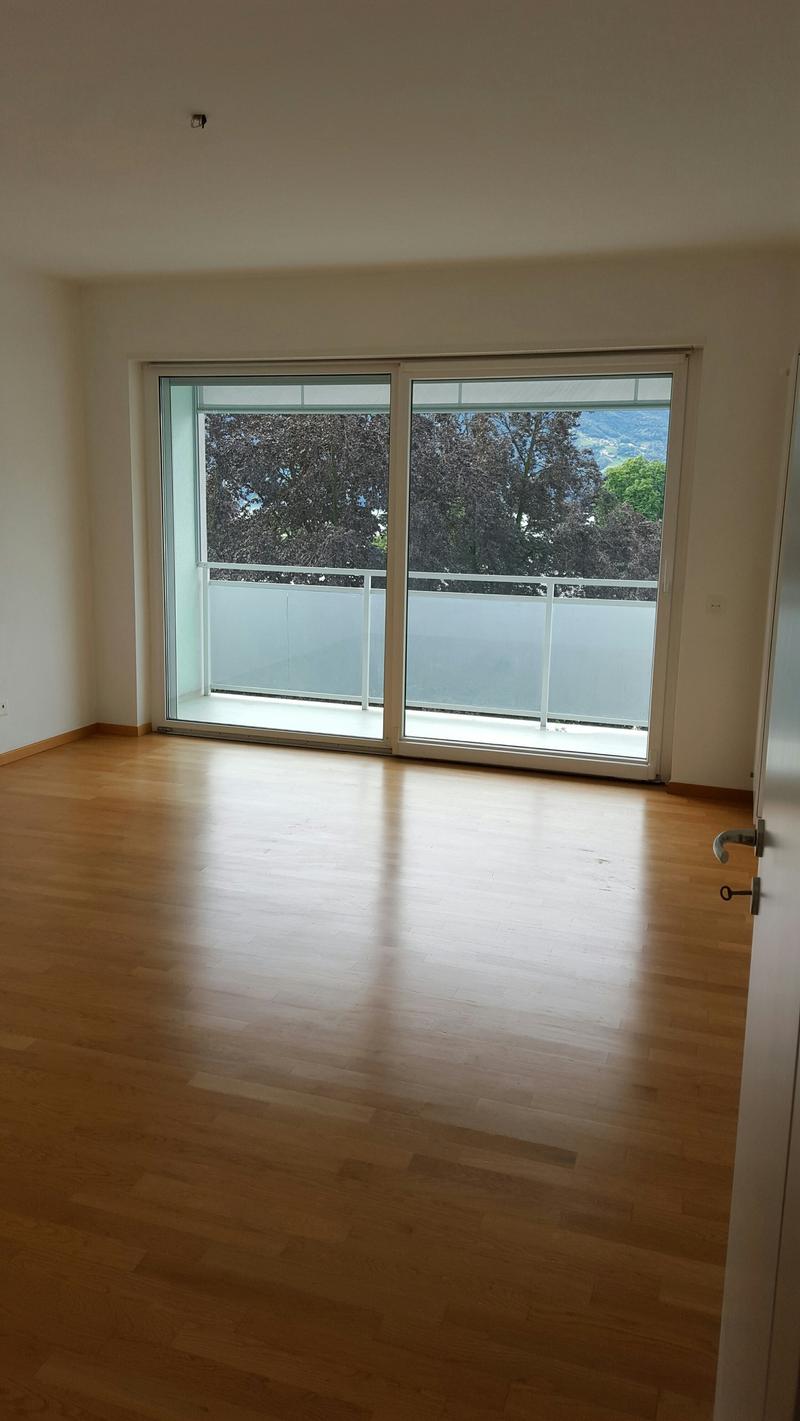 LUMINOSO APPARTAMENTO DI 3.5 LOCALI VISTA LAGO! (5)
