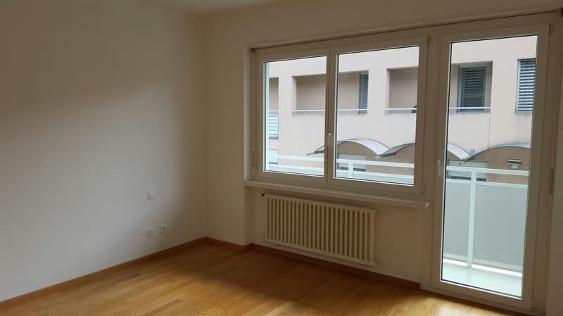 LUMINOSO APPARTAMENTO DI 3.5 LOCALI VISTA LAGO! (8)