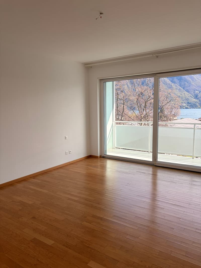 LUMINOSO APPARTAMENTO DI 3.5 LOCALI VISTA LAGO! (10)