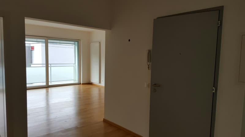 LUMINOSO APPARTAMENTO DI 3.5 LOCALI VISTA LAGO! (4)