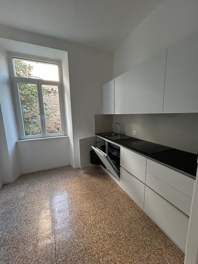 Ampio e luminoso appartamento in zona tranquilla (4)