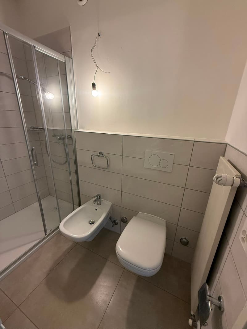 Accogliente appartamento di 2 locali con balcone - Rinnovato (12)