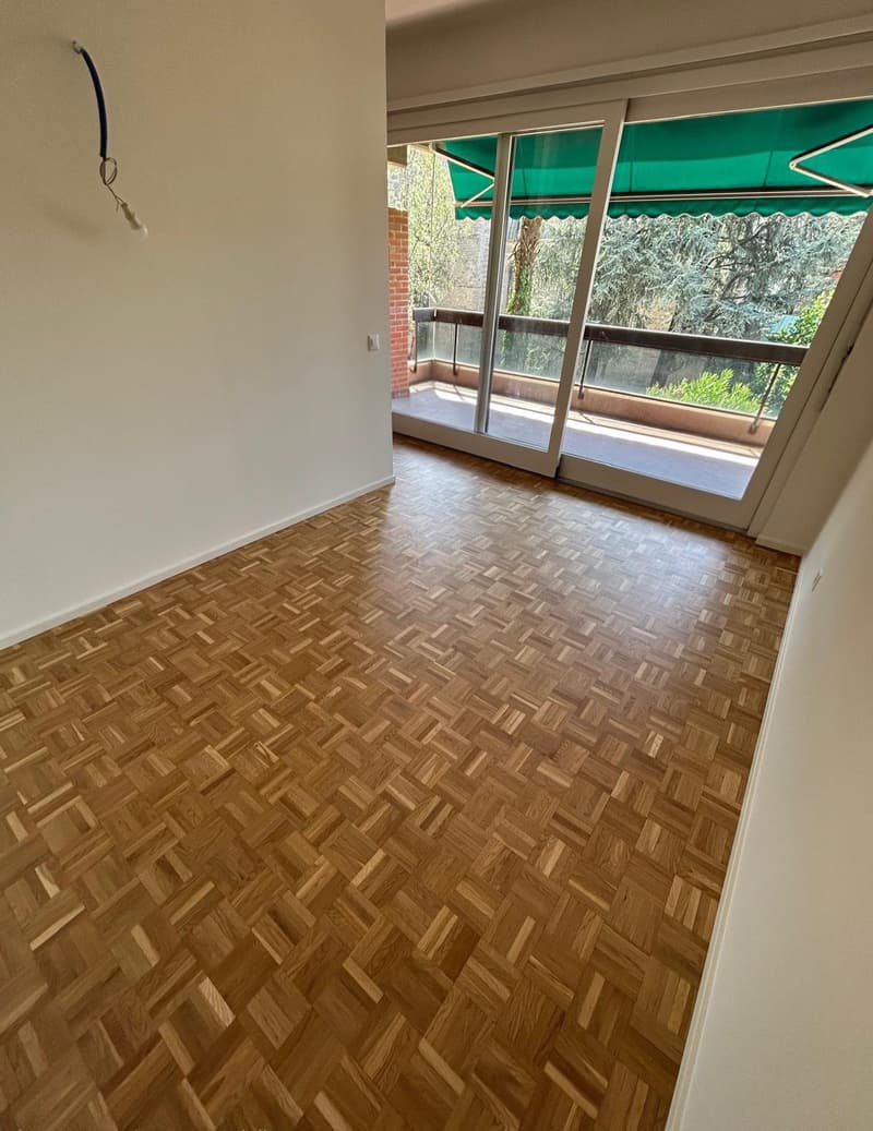 Accogliente appartamento di 2 locali con balcone - Rinnovato (3)