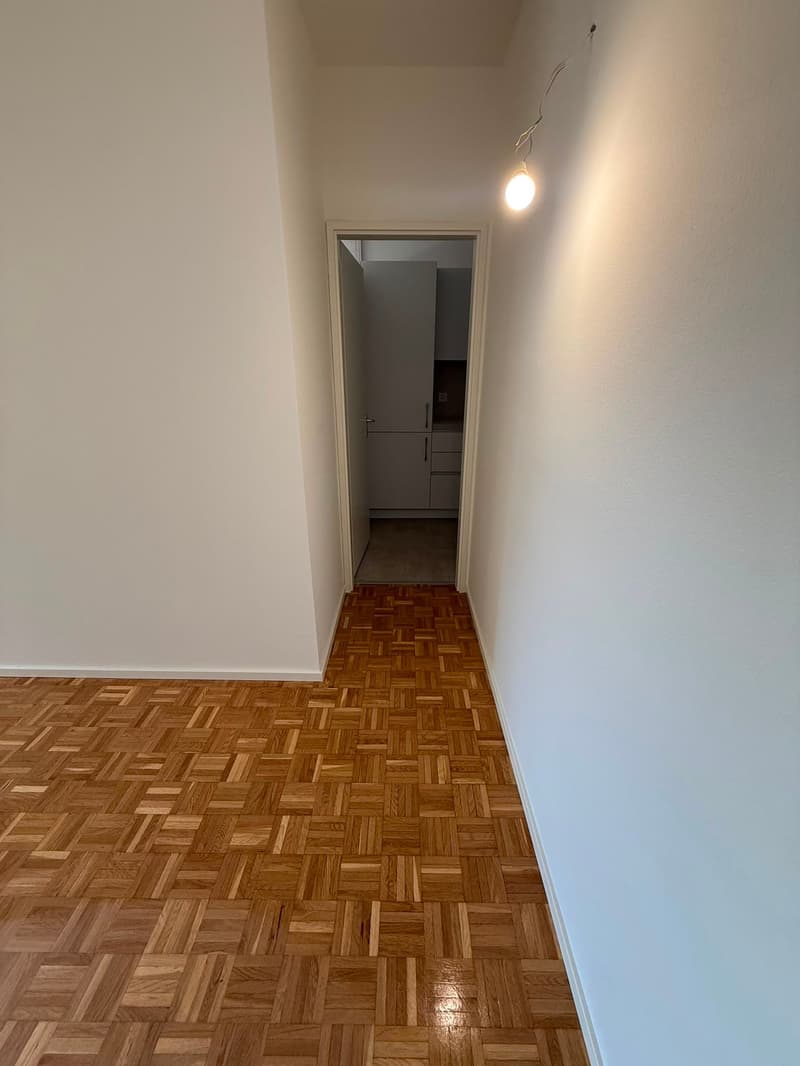 Accogliente appartamento di 2 locali con balcone - Rinnovato (5)