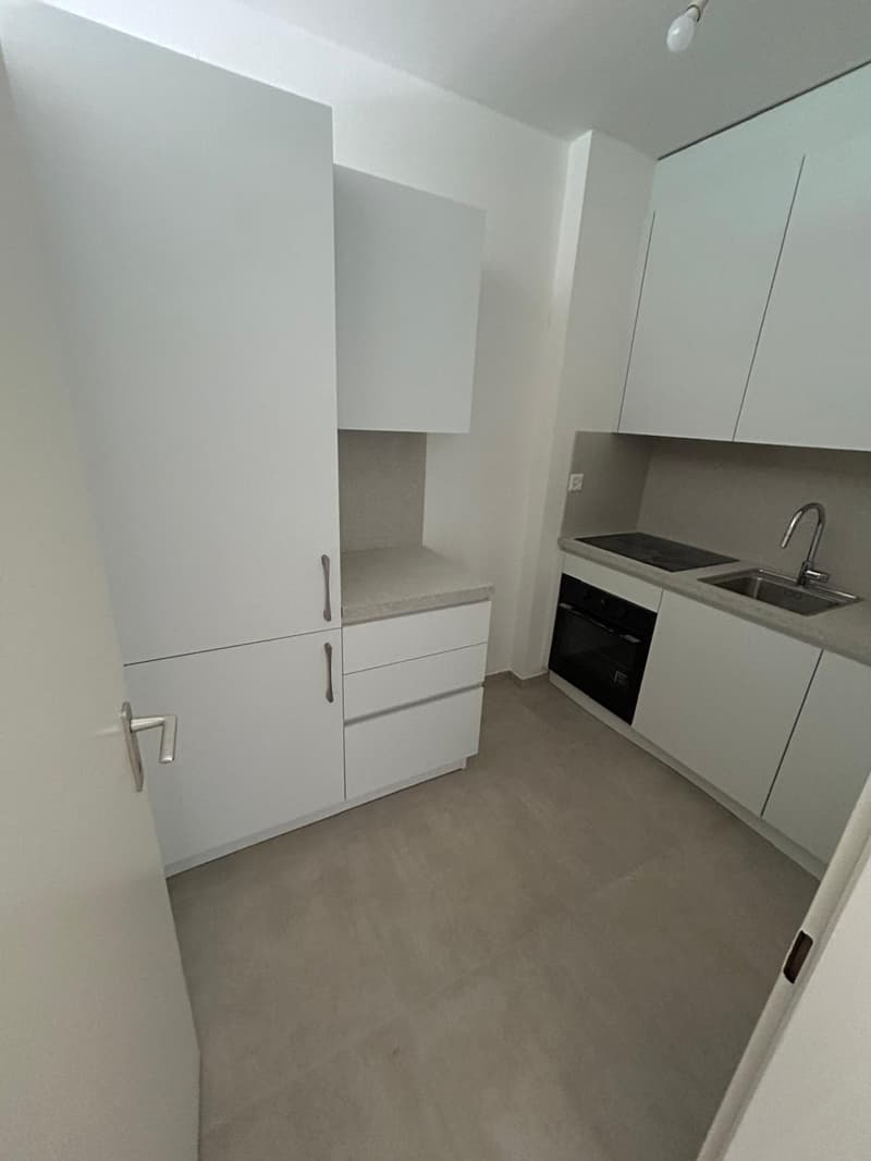 Accogliente appartamento di 2 locali con balcone - Rinnovato (6)