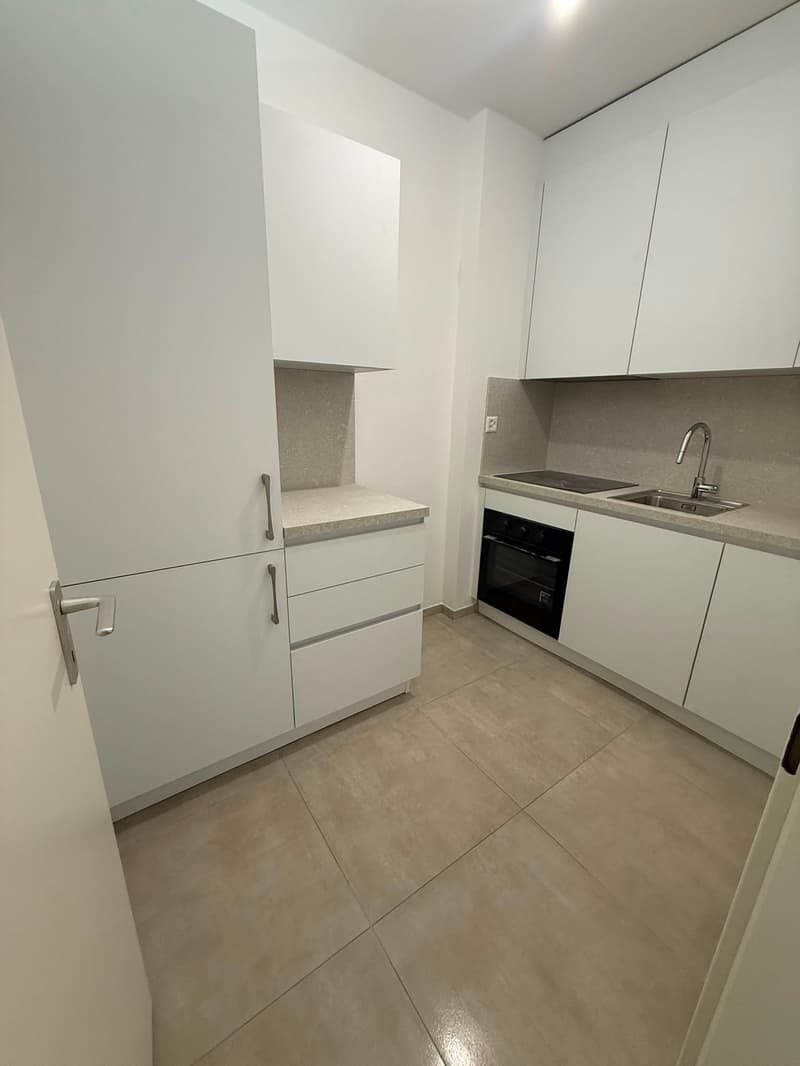 Accogliente appartamento di 2 locali con balcone - Rinnovato (8)