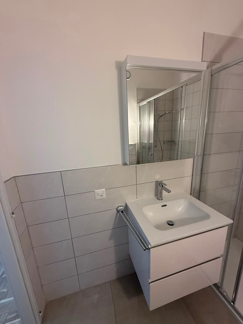 Accogliente appartamento di 2 locali con balcone - Rinnovato (11)
