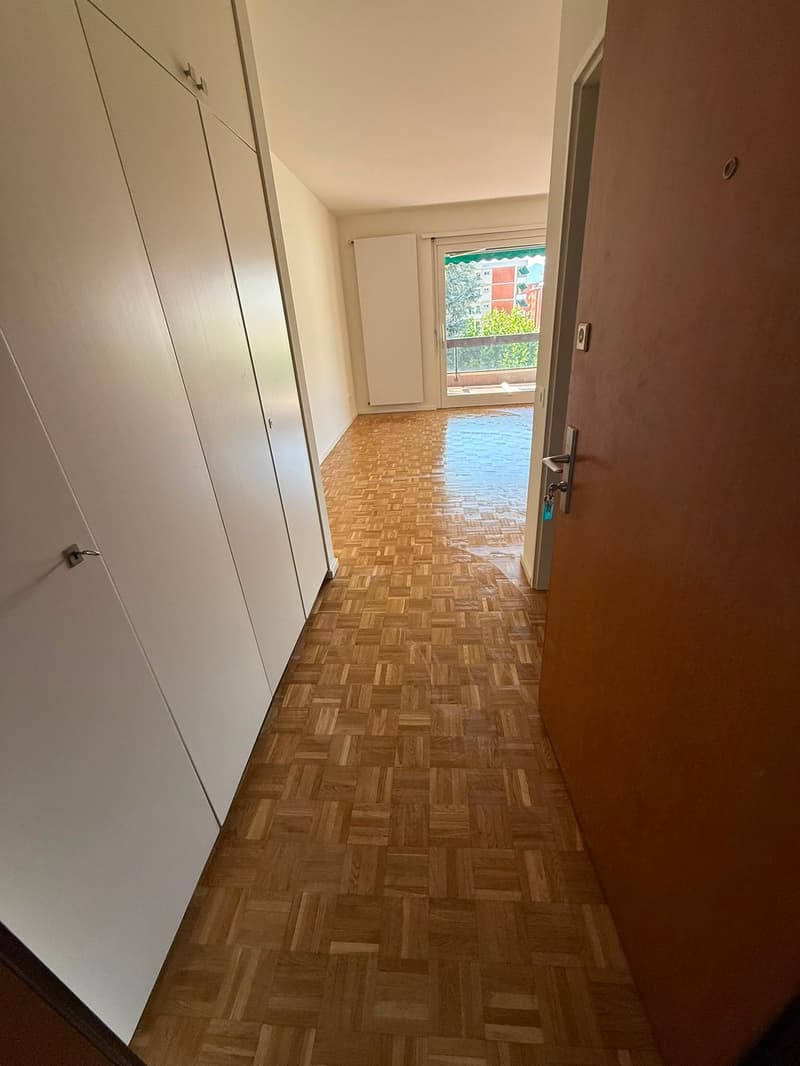 Accogliente appartamento di 2 locali con balcone - Rinnovato (1)