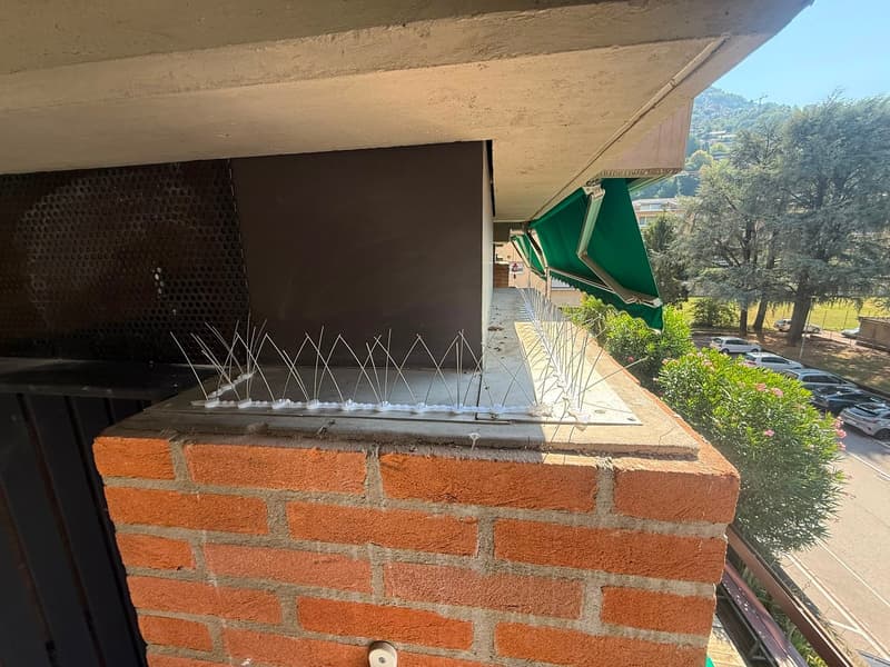 Accogliente appartamento di 2 locali con balcone - Rinnovato (14)