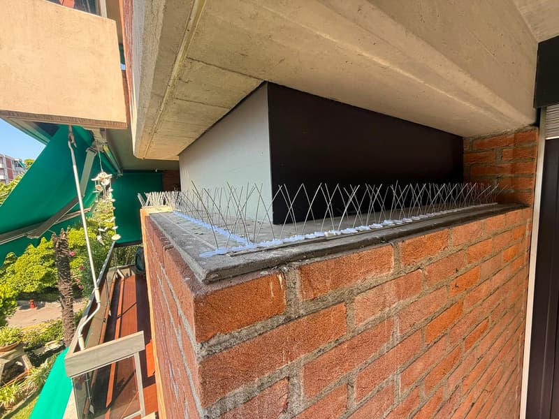 Accogliente appartamento di 2 locali con balcone - Rinnovato (15)