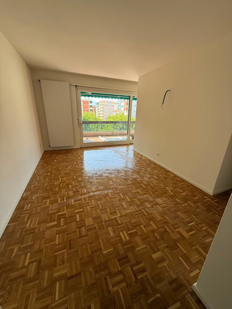 Accogliente appartamento di 2 locali con balcone - Rinnovato (2)