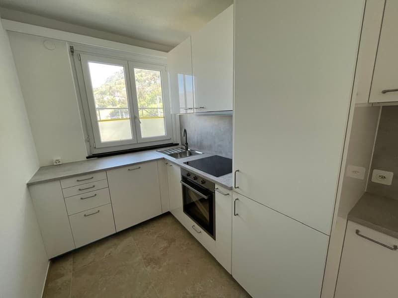 Luminosi appartamenti di 3.5 locali a Vira (Gambarogno) – PIENA VISTA LAGO! (1)