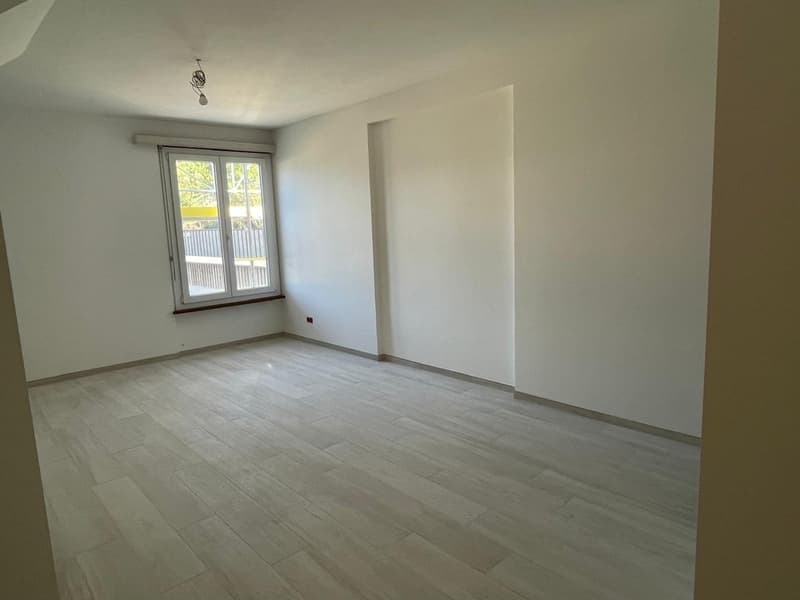 Luminosi appartamenti di 3.5 locali a Vira (Gambarogno) – PIENA VISTA LAGO! (2)