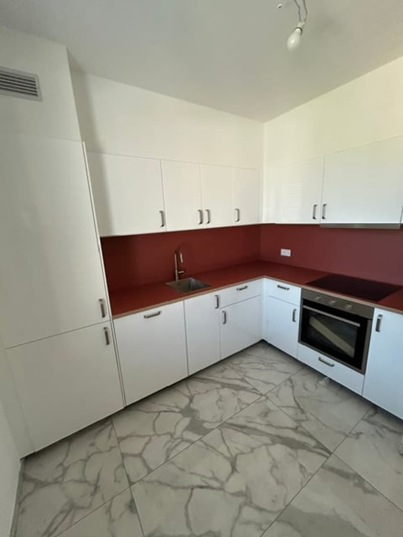 Appartamento di 3 locali completamente ristrutturato in zona tranquilla e soleggiata con vista lago (2)