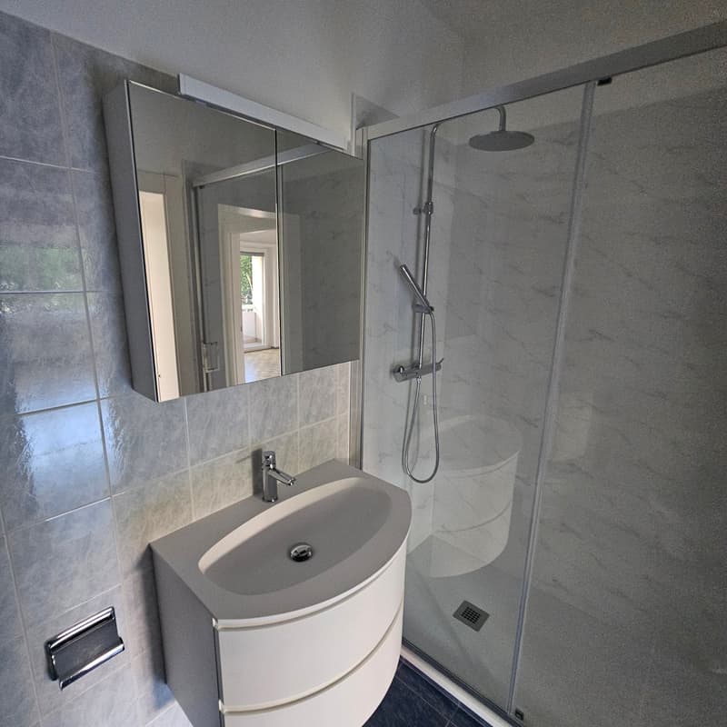 Modern bathroom with gray tile walls, glass shower enclosure, vanity with sink, and mirror cabinet
