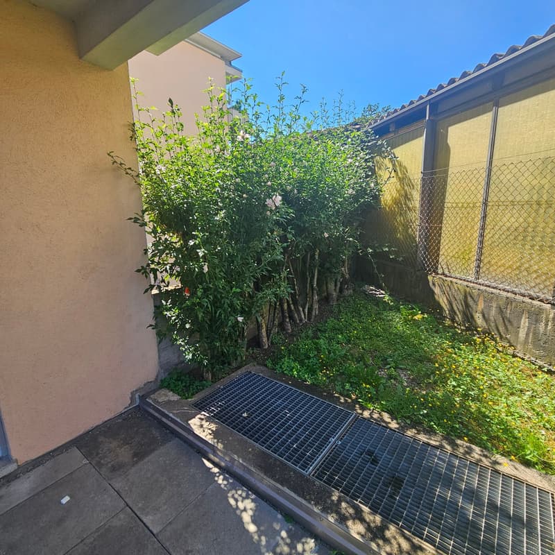 The image shows a small outdoor area or backyard space adjacent to a building. There is a lush, overgrown garden with various plants and greenery. A metal grate or grating can be seen on the ground, likely serving as a drainage or access point. The space