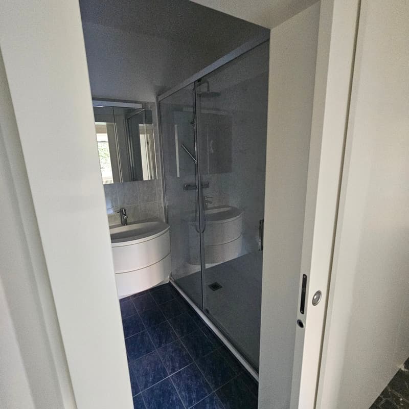 Bathroom with glass shower enclosure, white vanity, and dark tile flooring.