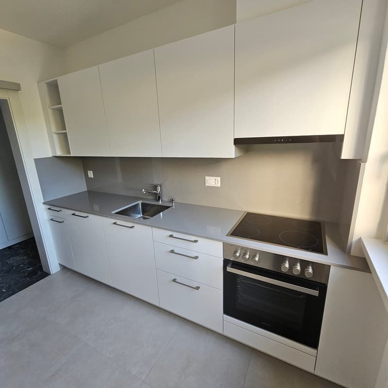 Modern, minimalist kitchen with white cabinets, gray countertops, built-in stove and oven, and a dishwasher