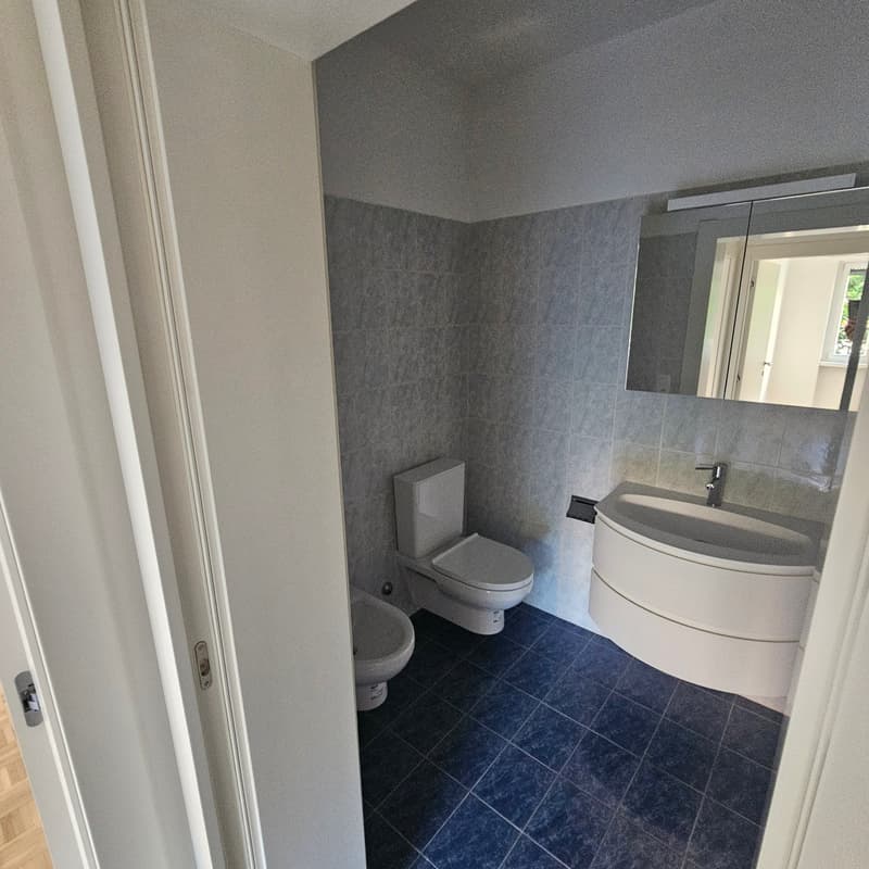 The image shows a modern bathroom with gray tiled walls, a white vanity sink, and a toilet. The floor is covered with blue tiles. The bathroom appears to be clean and well-maintained.