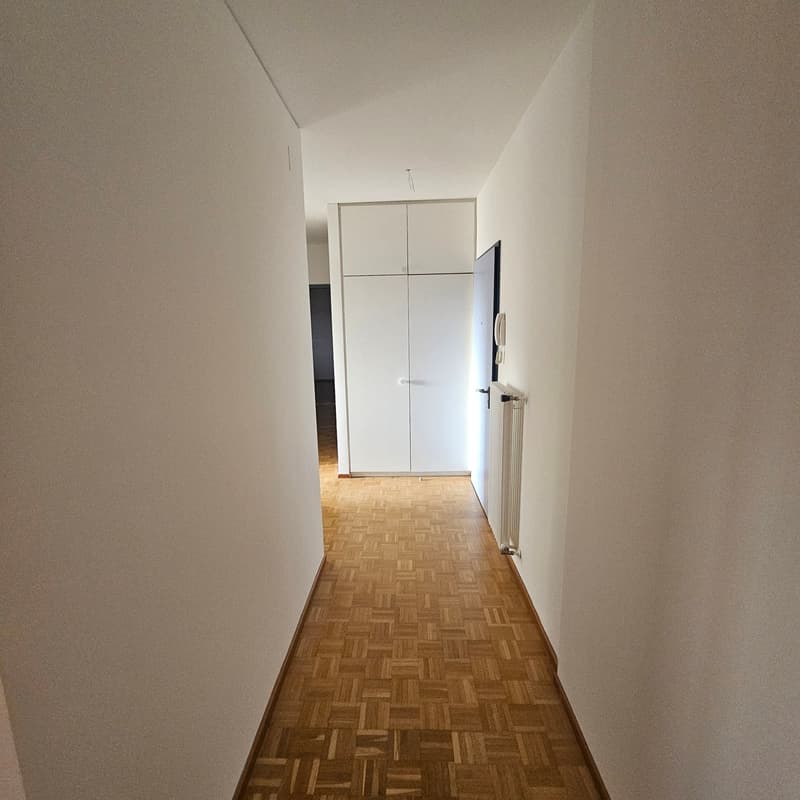White walls, white doors, wooden floor