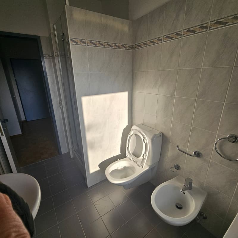 A bathroom with a toilet, bidet, and a shower enclosure. Tiles cover the walls and floors. A white sink is next to the toilet.