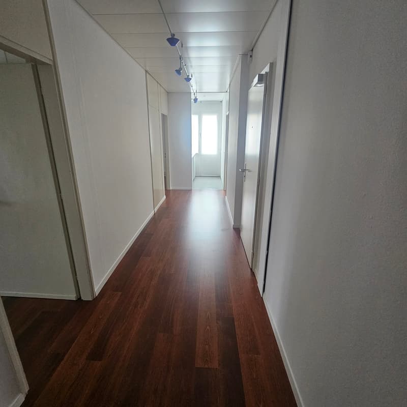 Ufficio luminoso di 3 locali in affitto a Lugano – Via Luigi Canonica 4 (2)