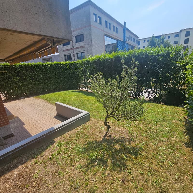 Luminoso appartamento di 3.5 locali a Manno con giardino – disponibile da settembre (13)