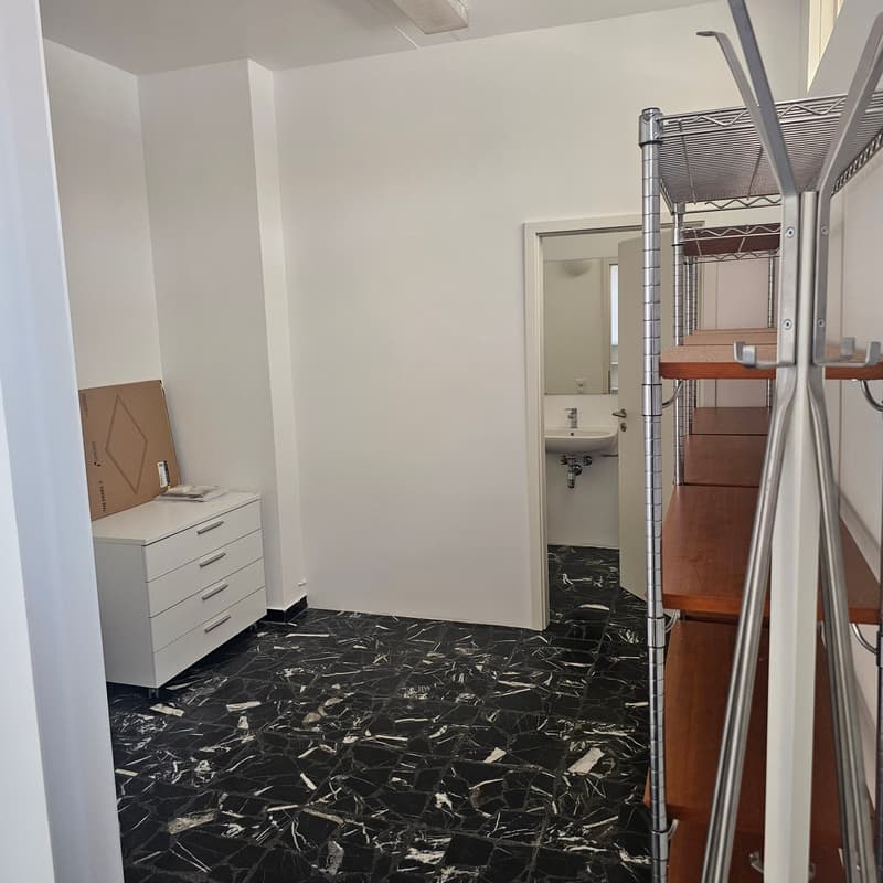 Locale commerciale in affitto a Lugano – Via Luigi Canonica 4 (5)