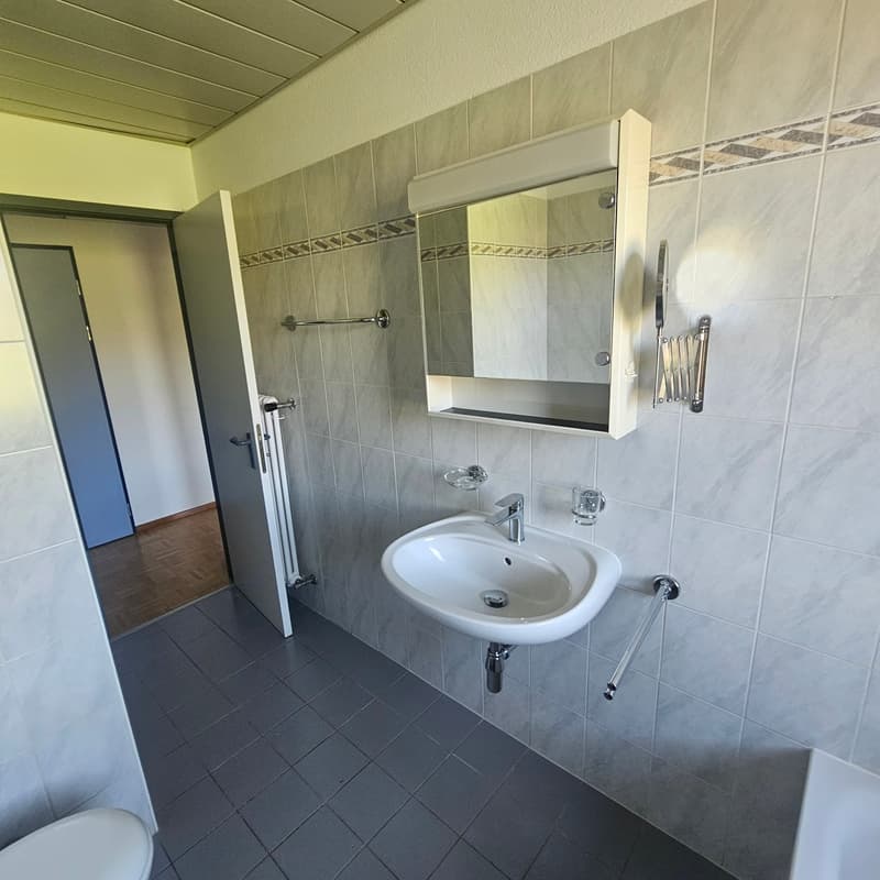 Appartamento 3.5 locali  a Manno a CHF 1'600.00 spese comprese (9)
