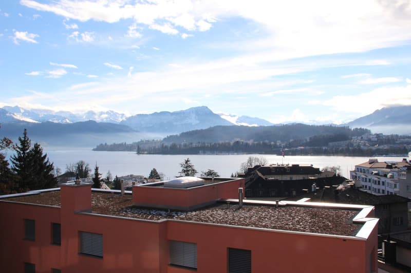 Eine 1-Zimmerwohnung wo Luzern am schönsten ist! (1)